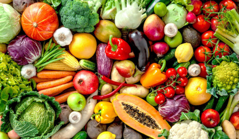 media.macfrut (4)